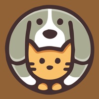 谷歌梯子知乎