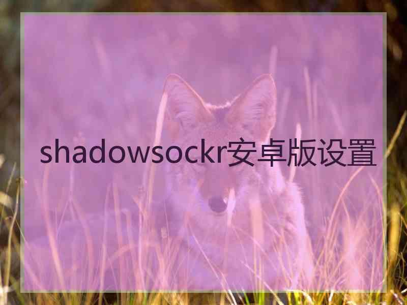 shadowsockr安卓版设置