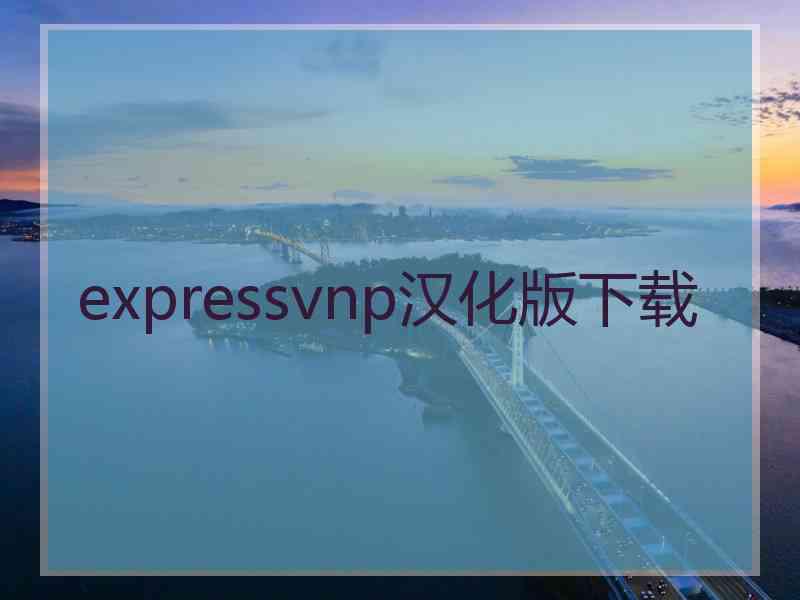 expressvnp汉化版下载