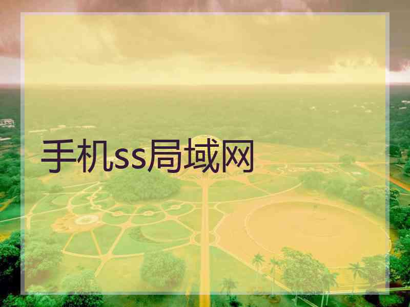 手机ss局域网
