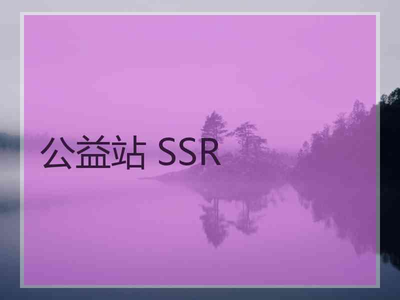 公益站 SSR