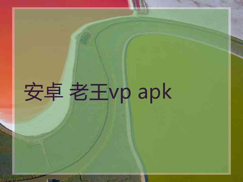安卓 老王vp apk