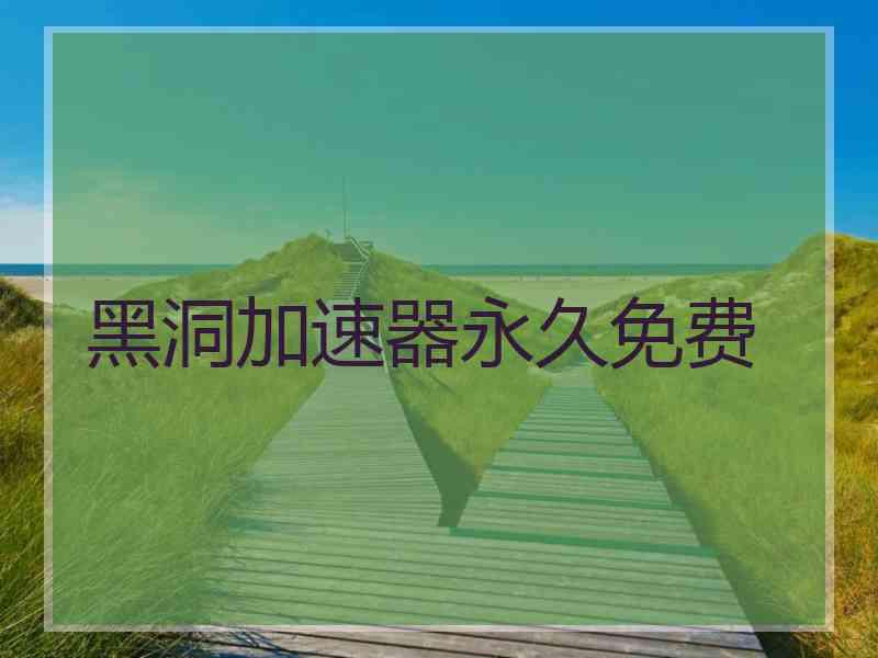 黑洞加速器永久免费