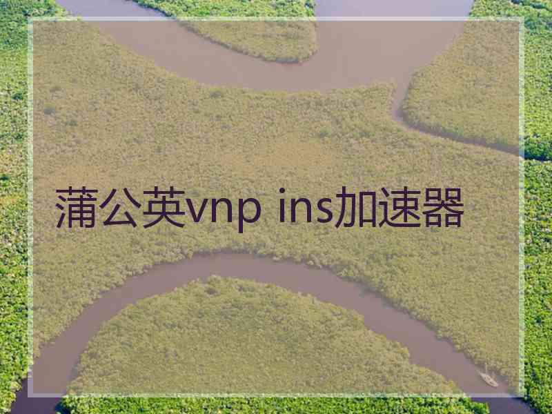 蒲公英vnp ins加速器