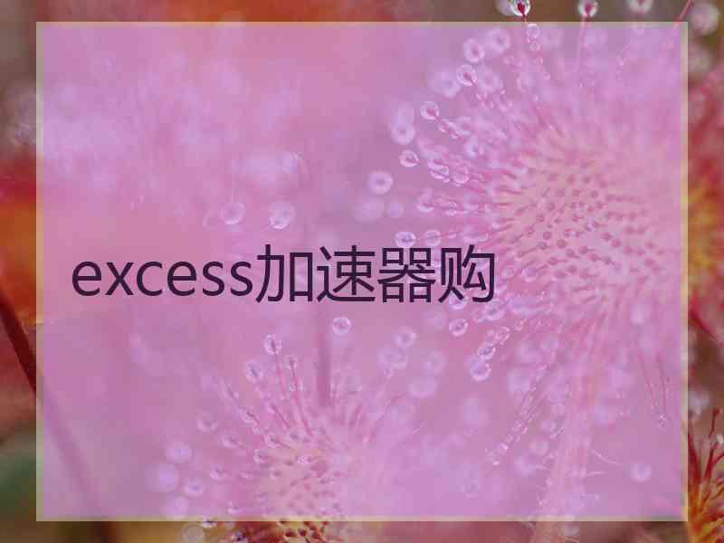 excess加速器购