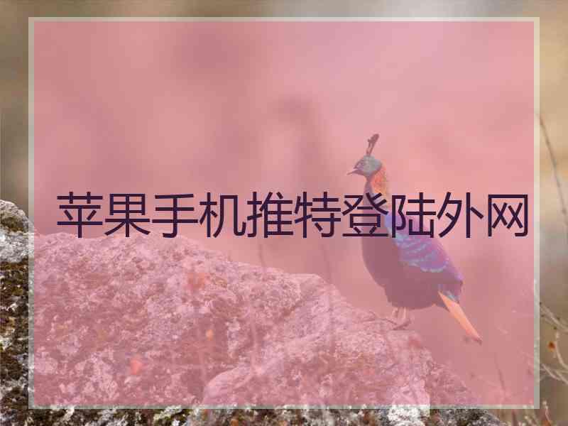 苹果手机推特登陆外网