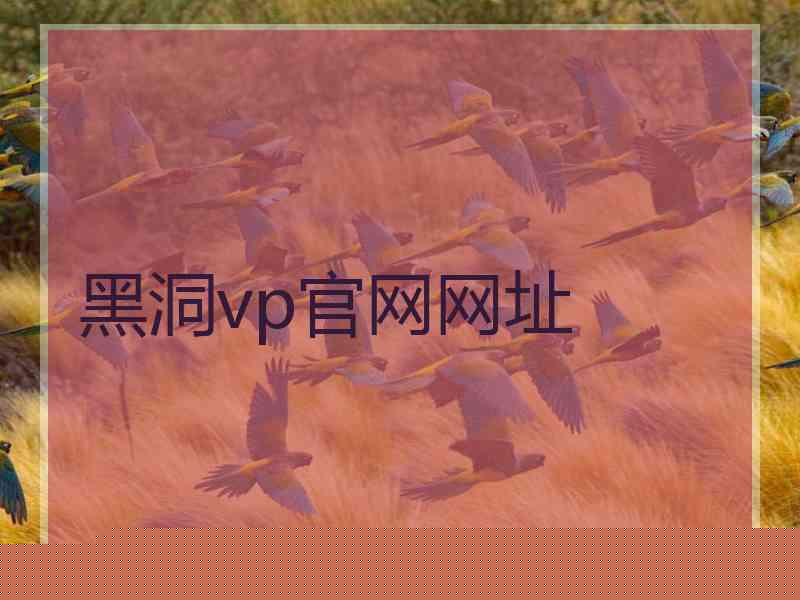 黑洞vp官网网址