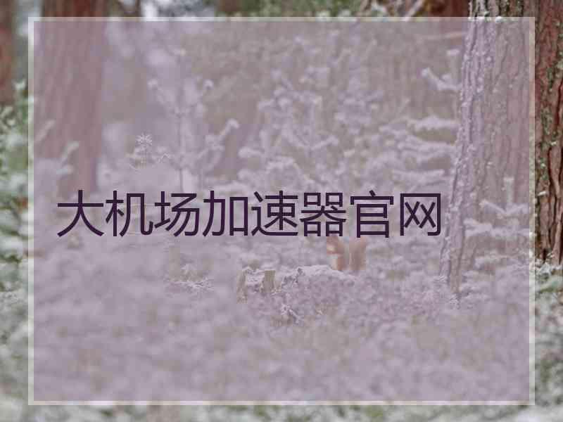 大机场加速器官网