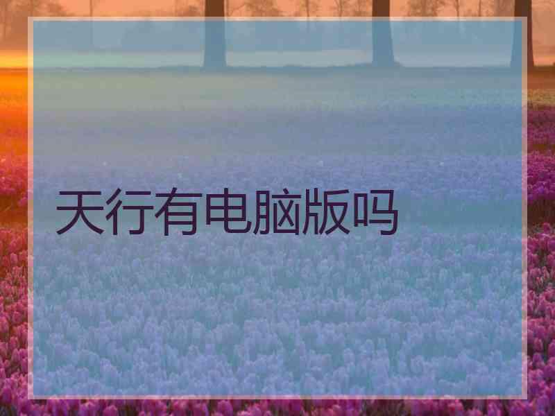 天行有电脑版吗