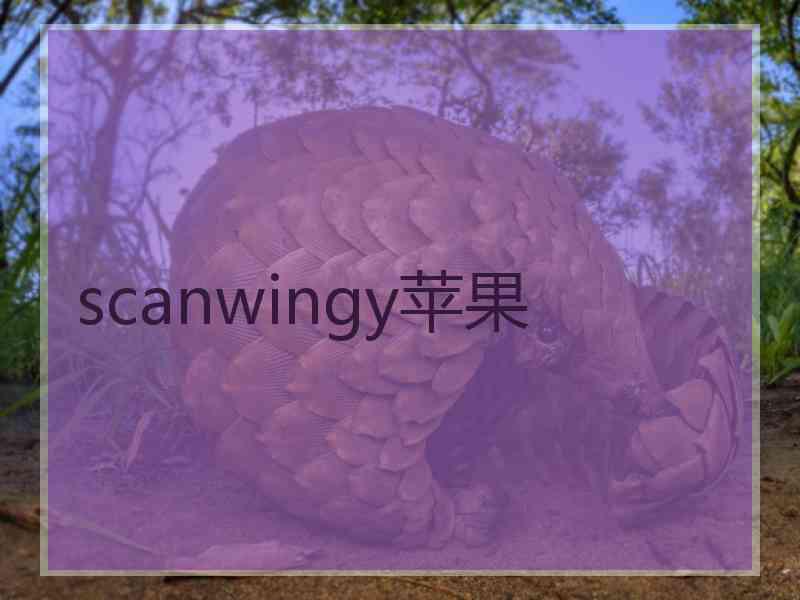 scanwingy苹果