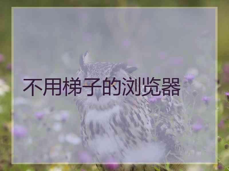 不用梯子的浏览器