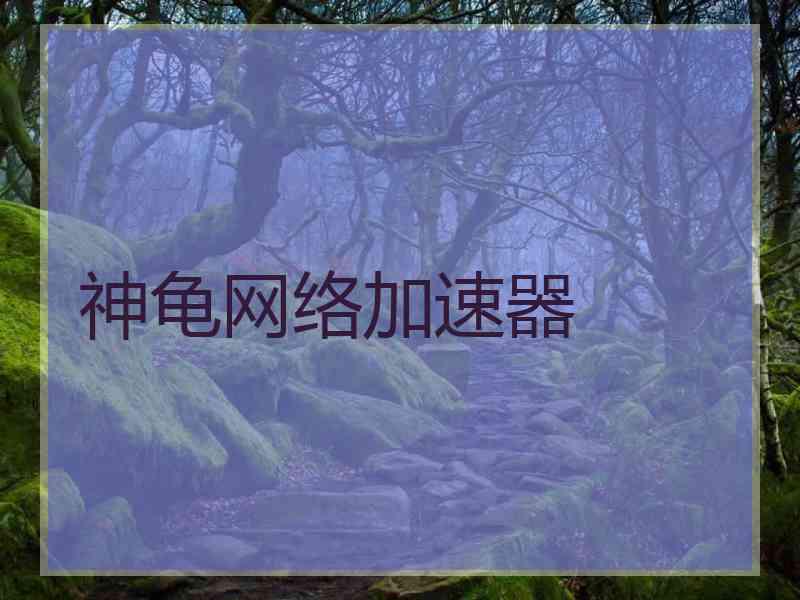 神龟网络加速器