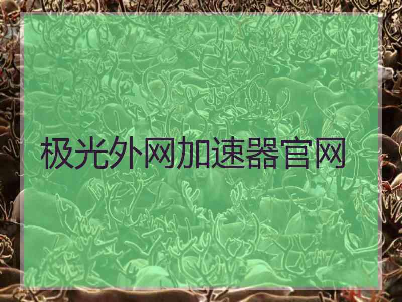 极光外网加速器官网