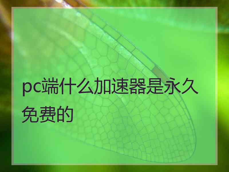 pc端什么加速器是永久免费的