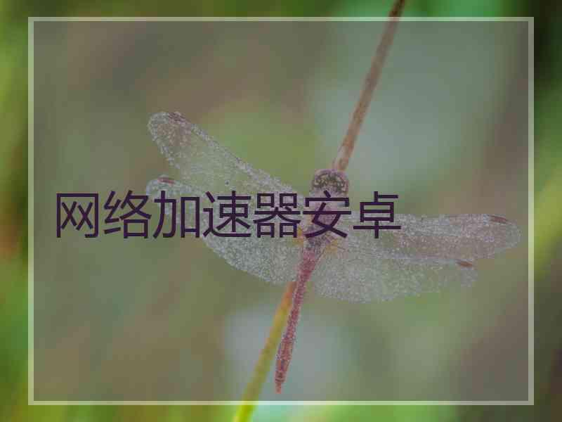网络加速器安卓