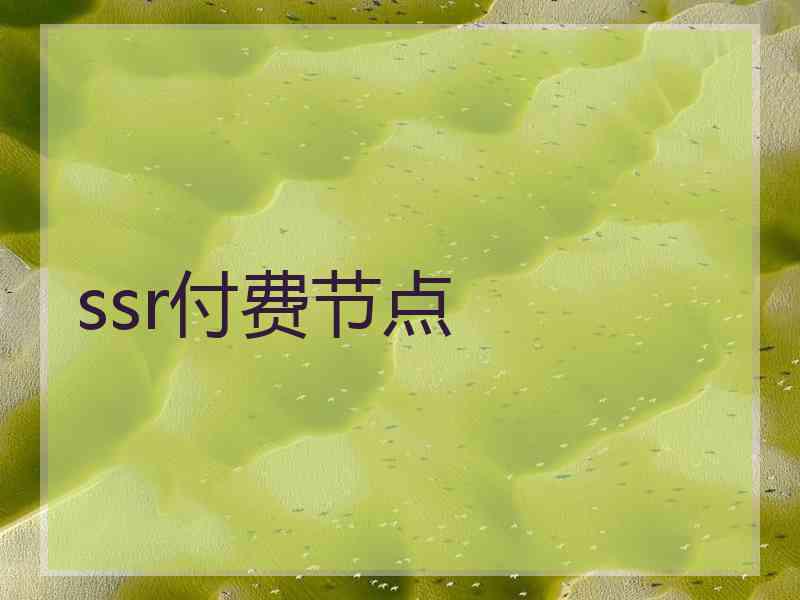 ssr付费节点