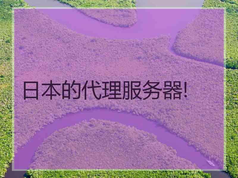 日本的代理服务器!
