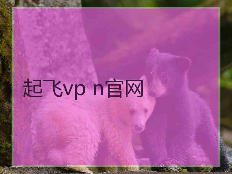 起飞vp n官网