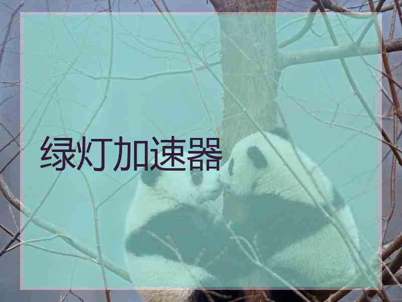 绿灯加速器