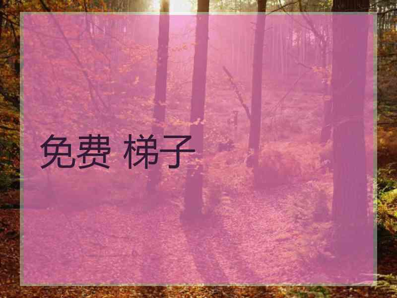 免费 梯子