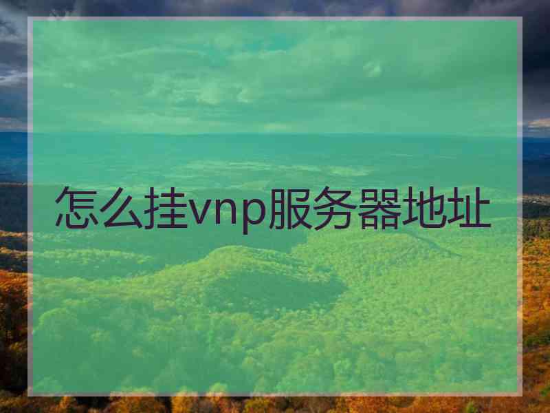 怎么挂vnp服务器地址