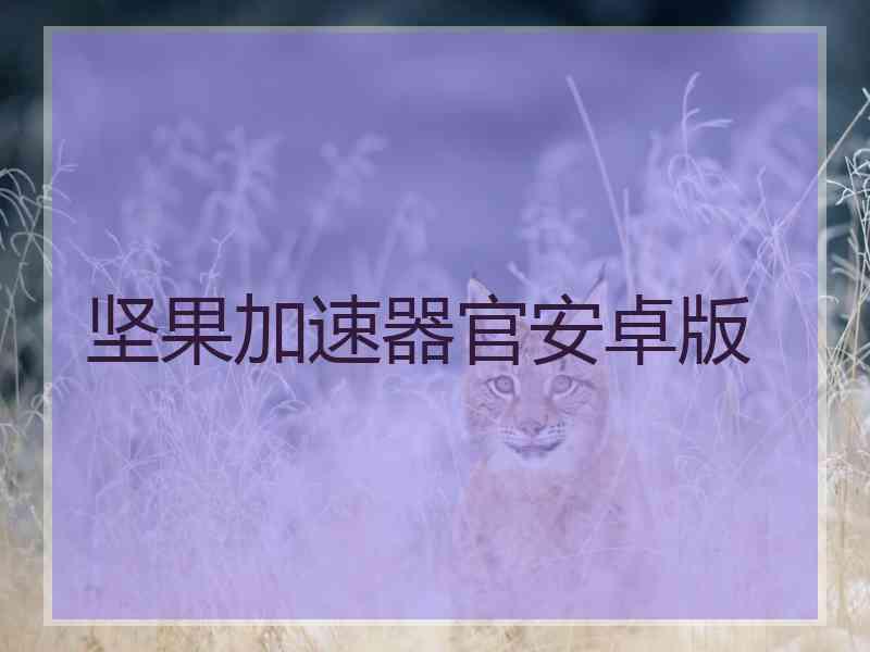 坚果加速器官安卓版