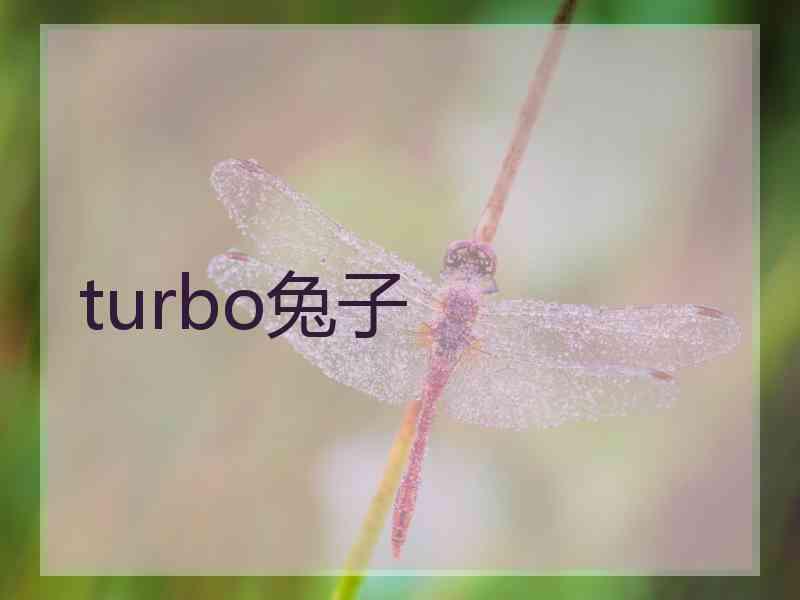 turbo兔子