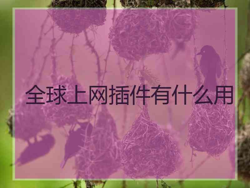 全球上网插件有什么用