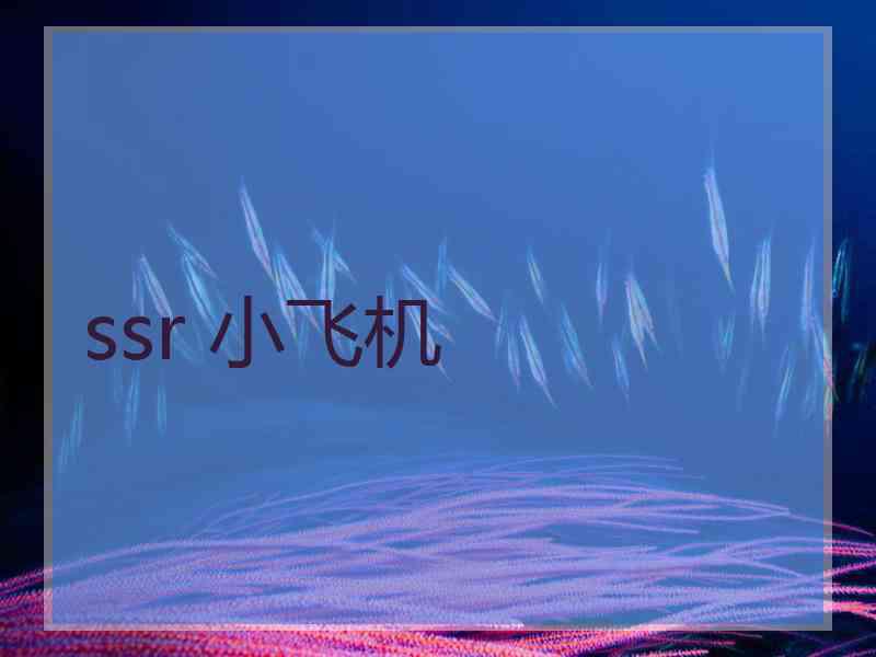 ssr 小飞机