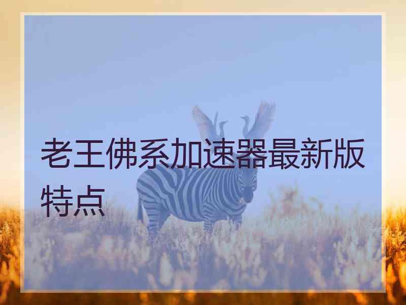 老王佛系加速器最新版特点