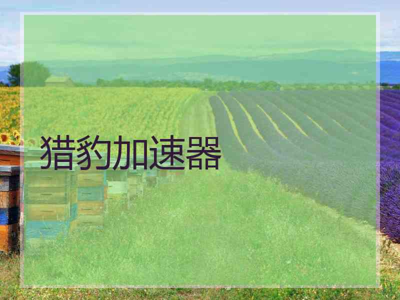 猎豹加速器