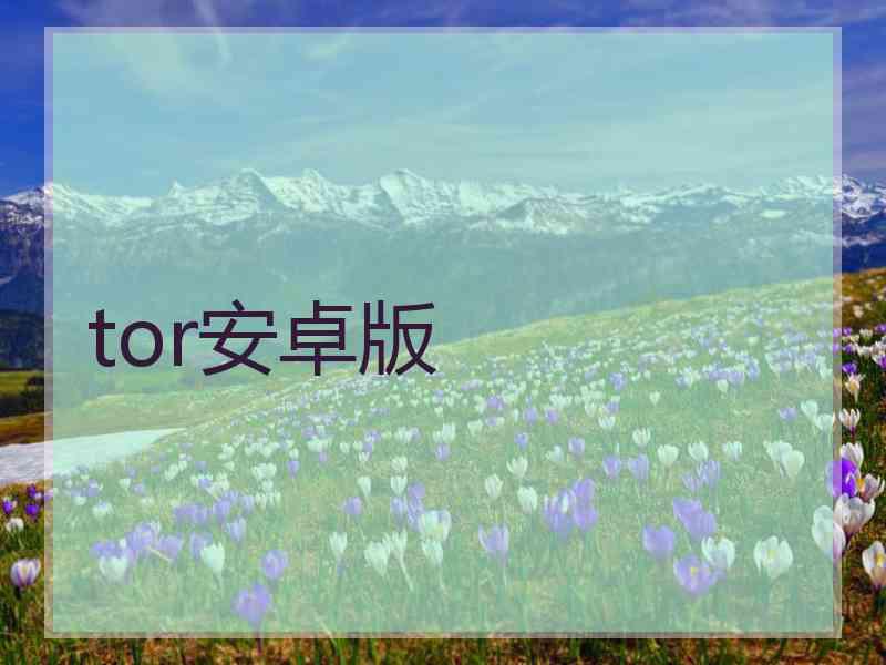 tor安卓版