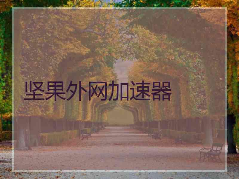 坚果外网加速器