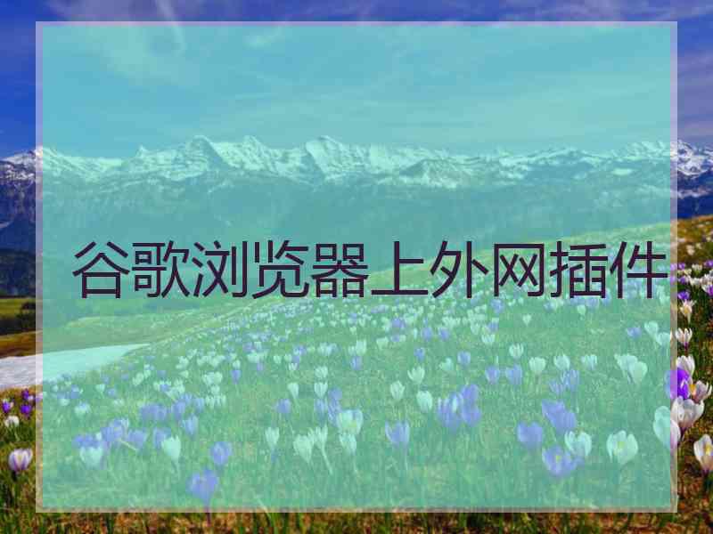 谷歌浏览器上外网插件