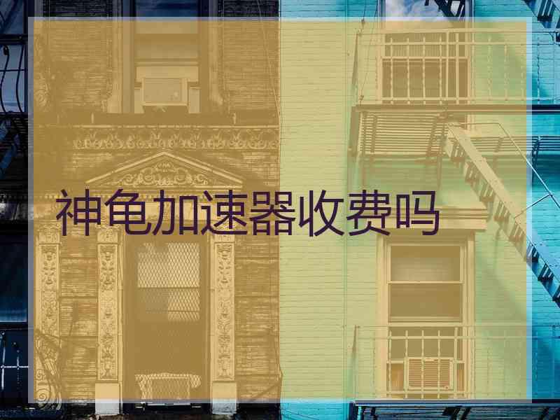 神龟加速器收费吗