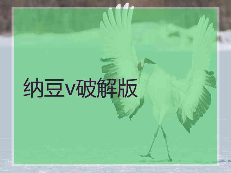 纳豆v破解版