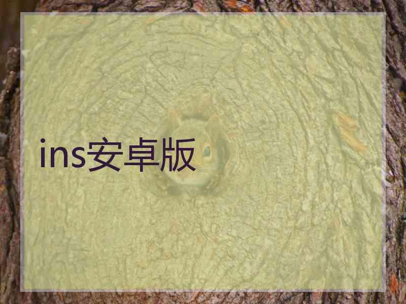ins安卓版